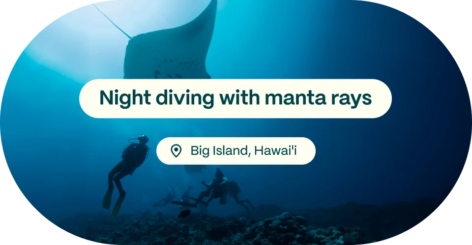 Night diving with Manta Rays, Big Island, Hawaii