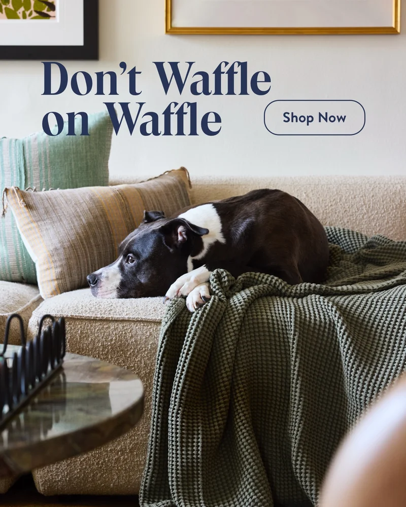Don't Waffle on Waffle