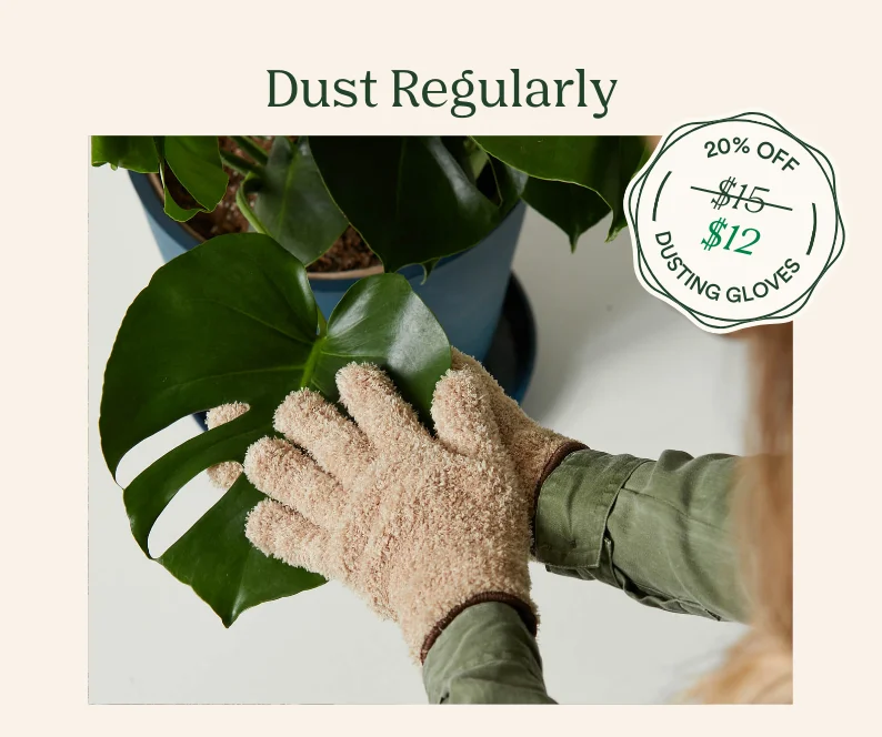 Save 20% on dusting gloves