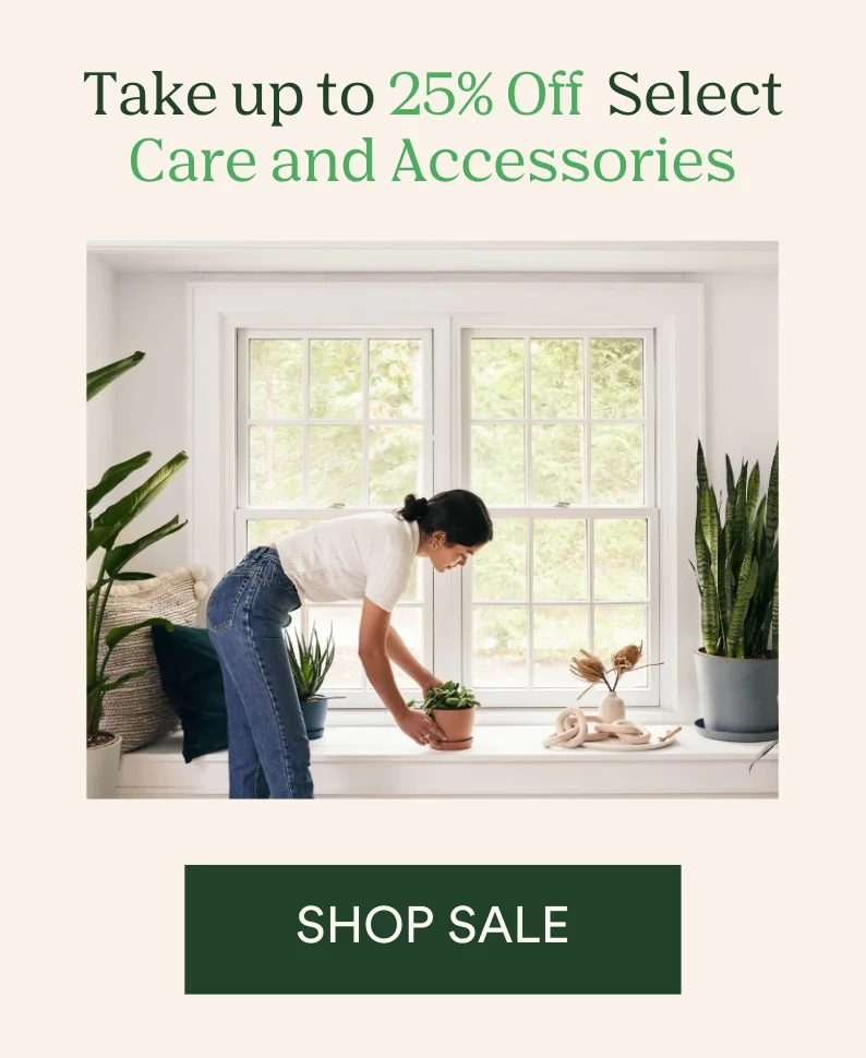 Save up to 25% on select care and accessories
