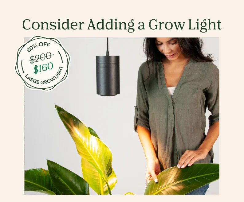 Save 20% on large grow light
