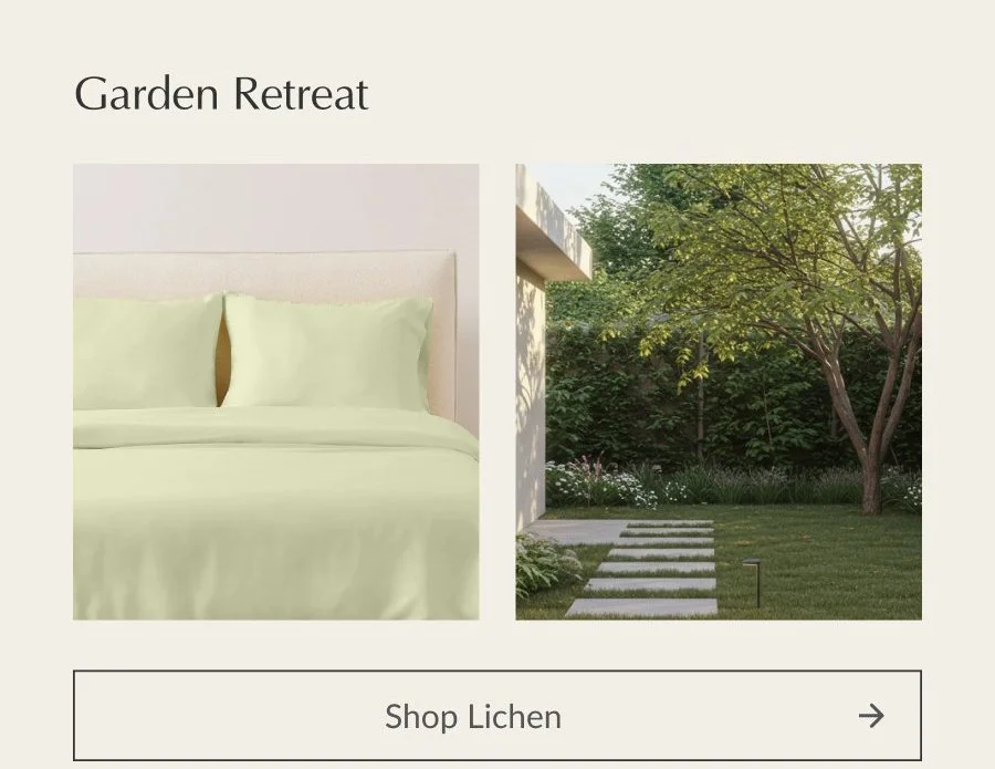 Shop Lichen