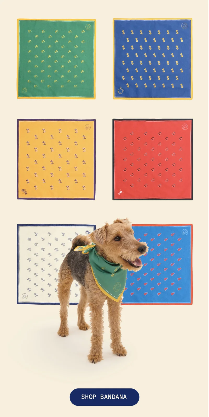 Shop Bandana