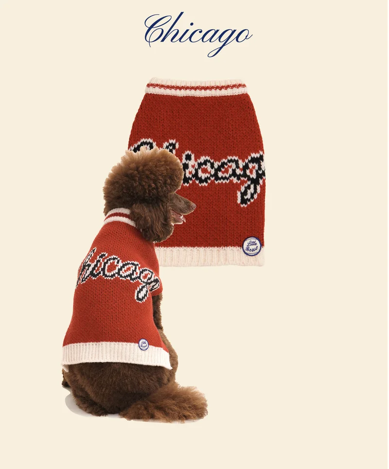 Chicago Bulls