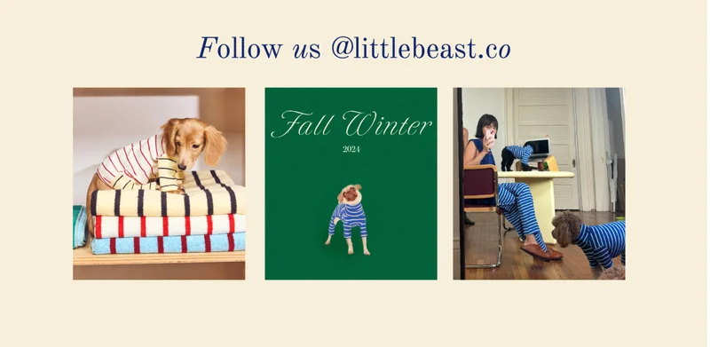Follow us on Instagram