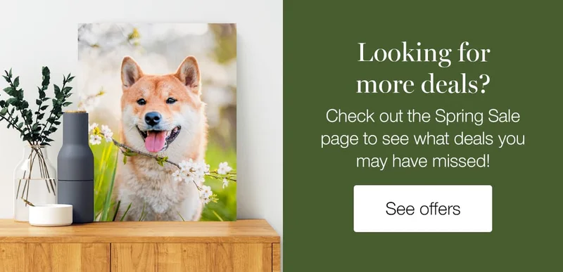 Looking for more deals? Check out the Spring Sale page to see what deals you may have missed!