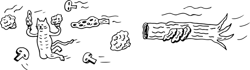 A cat flying through the air with a variety of mushrooms and a log