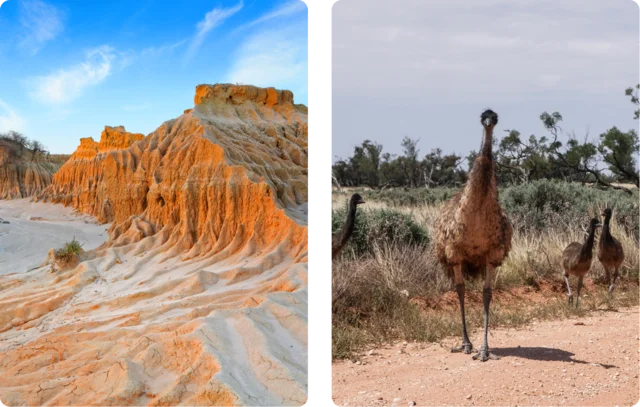 Emu, New South Wales, Australia