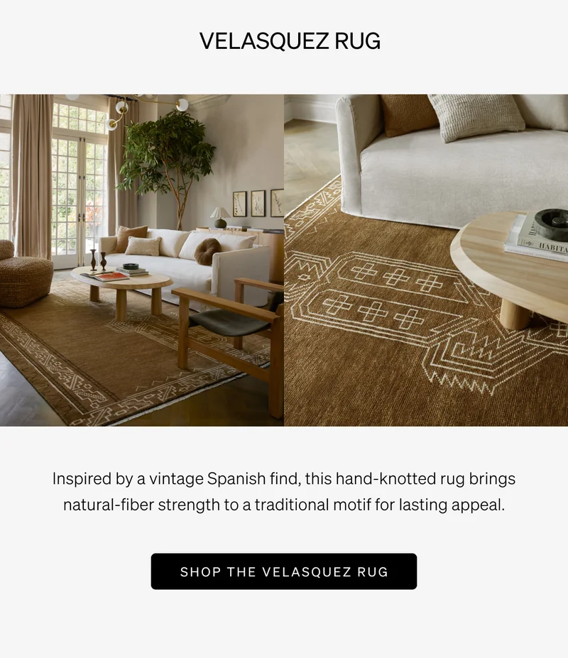 Shop Velasquez Rug