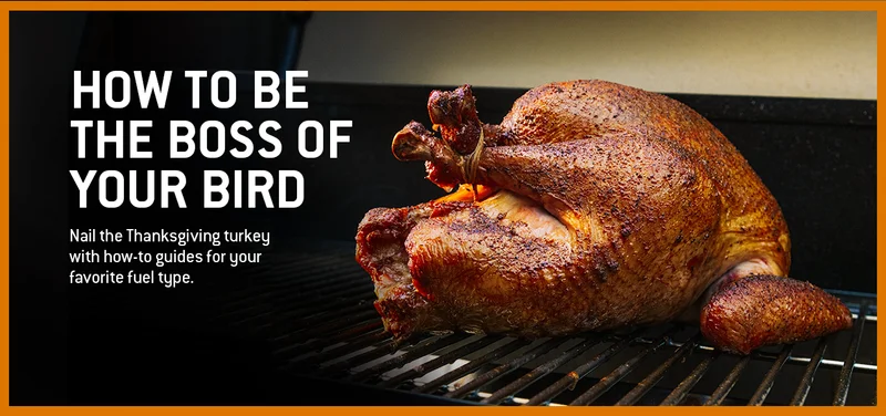 Be The Boss Of Your Bird