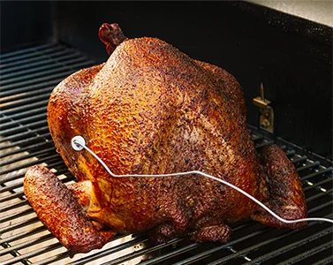 Pellet Grill Guide