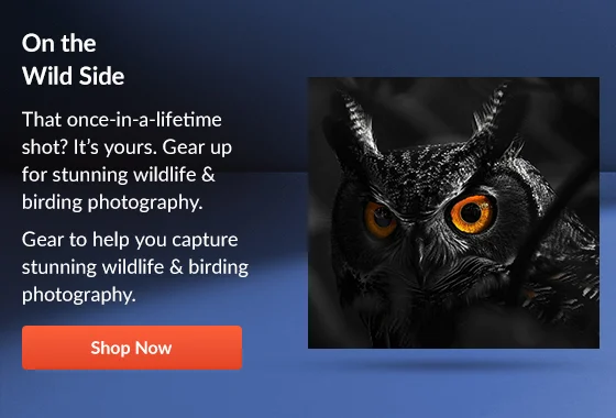 Wildlife Photography | Shop Now
