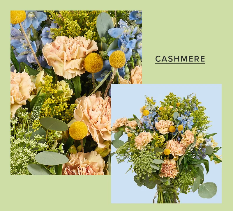 CASHMERE BOUQ