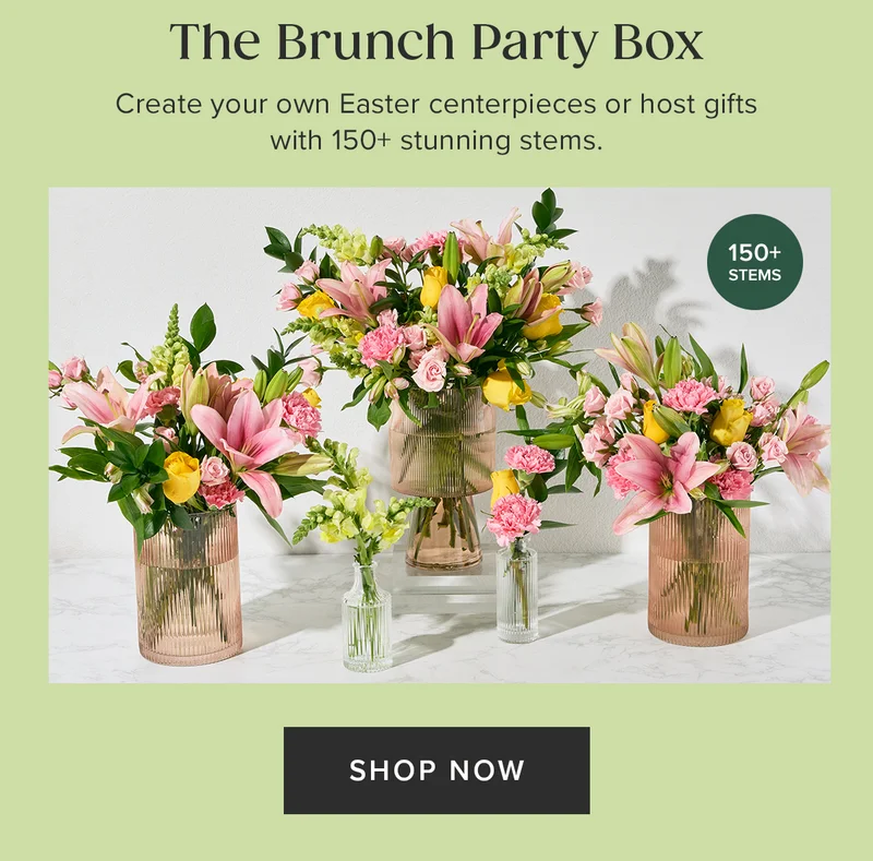 The Brunch Party Box. Create your own Easter centerpieces or host gifts with 150+ stunning stems. Shop Now.