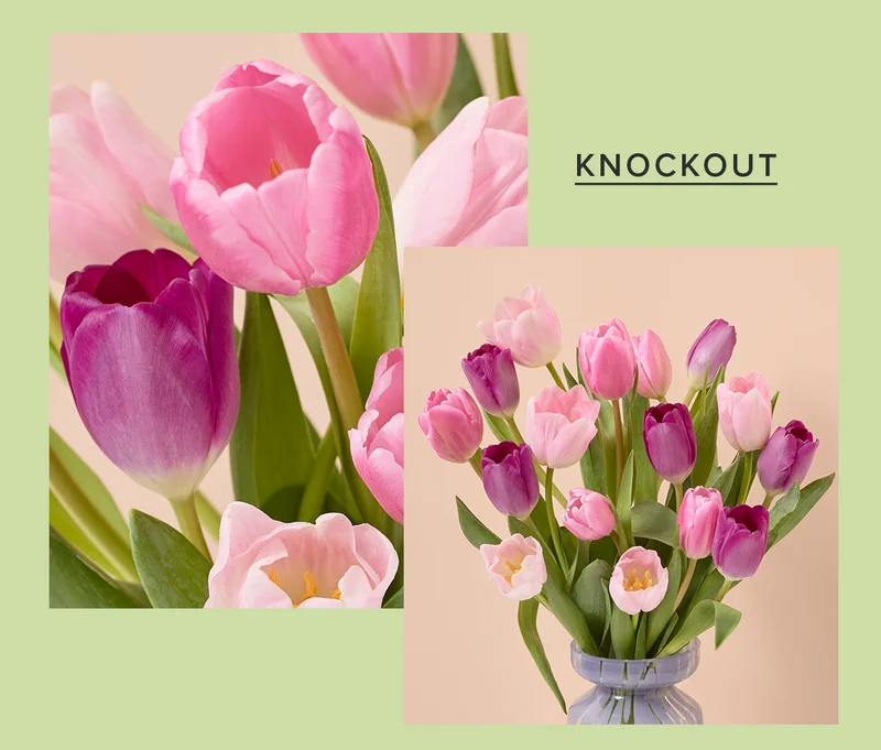 KNOCKOUT BOUQ