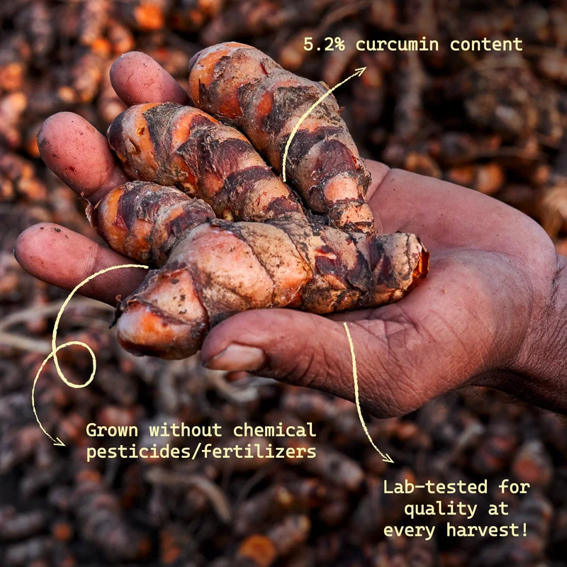 5.2% curcumin content. Grown without chemical pesticides/fertilizers. Lab-tested for quality at every harvest.