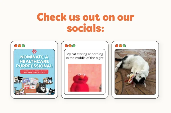 Most recent 3 social posts from @meowbox on Instagram