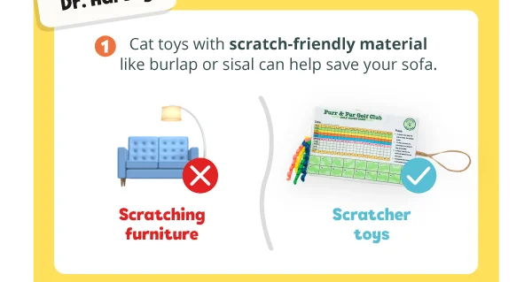 1. Cat toys with scratch-friendly material like burlap or sisal can help save your sofa. Scratching furniture —> Scratcher toys.