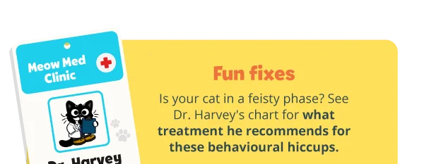 Fun fixes. Is your cat in a feisty phase? See Dr. Harvey's chart for what treatment he recommends for these behavioural hiccups. Image of an ID tag labelled Meow Med Clinic, Dr. Harvey.