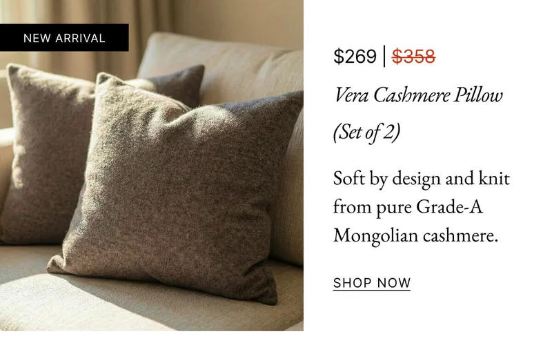 Vera Cashmere Pillow (Set of 2)