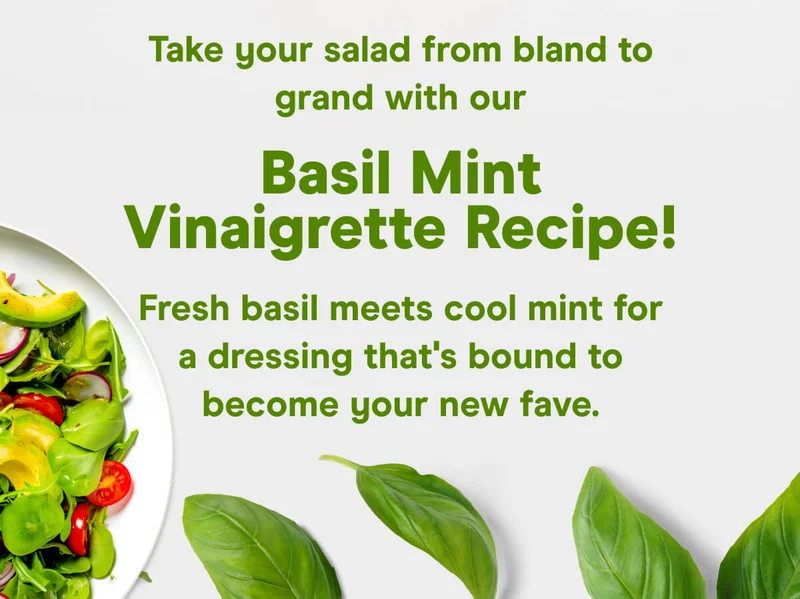 Take your salad from bland to grand with our Basil Mint Vinaigrette Recipe! Fresh basil meets cool mint for a dressing that's bound to become your new fave.