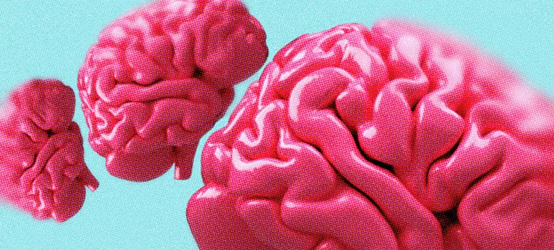 Brain Health