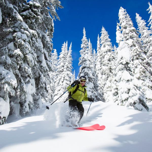 Skiing through deep snow, Montana