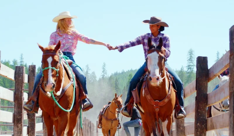 Two horseback riders hold hands