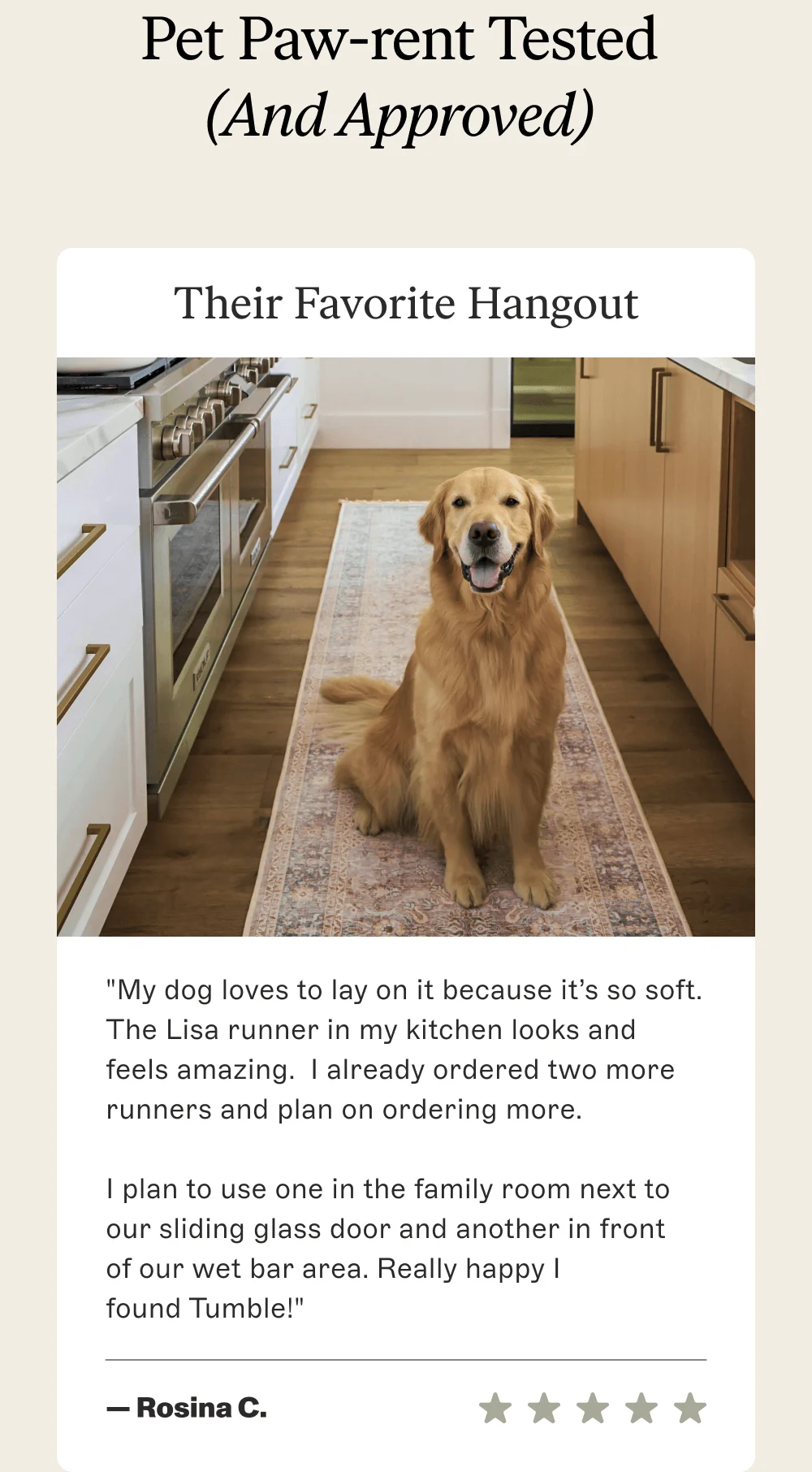 Pet Paw-rent Tested  (And Approved)