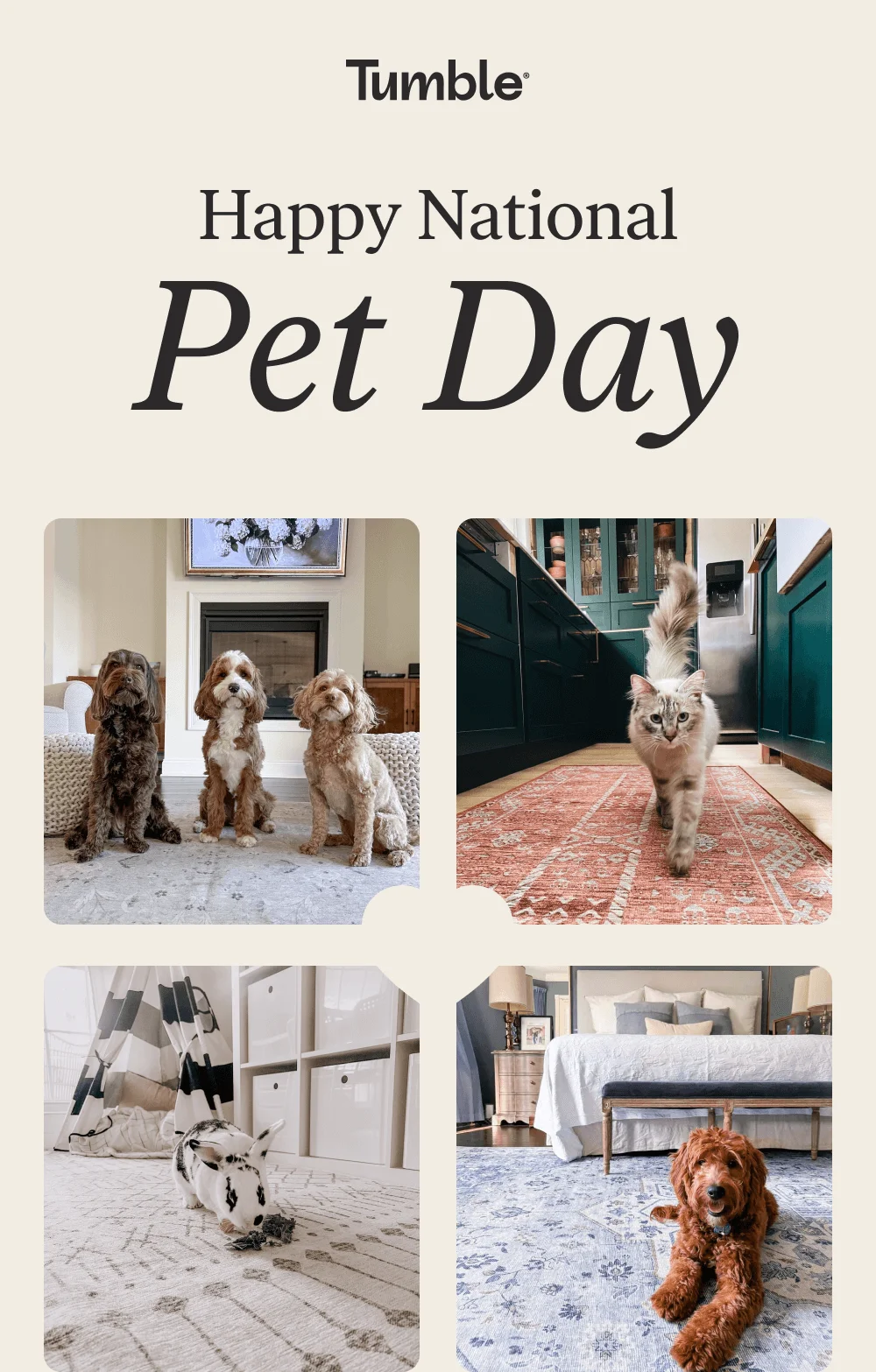 Happy National Pet Day