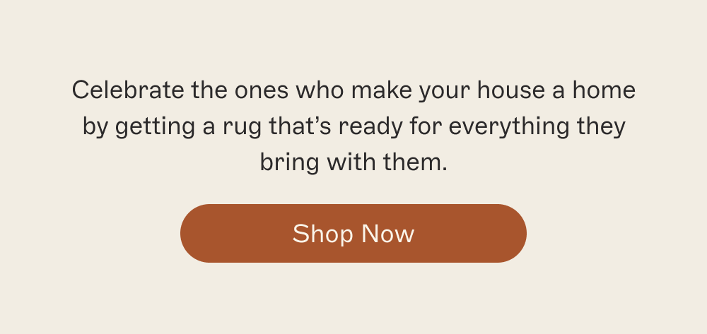 [ Shop Now ]
