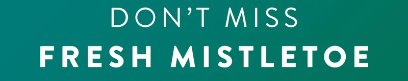 Don’t Miss | Fresh Mistletoe