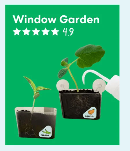 Window Garden
