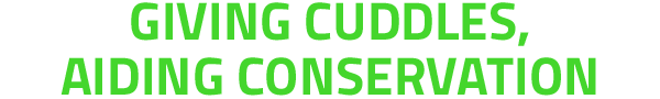 CC