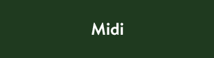 Midi
