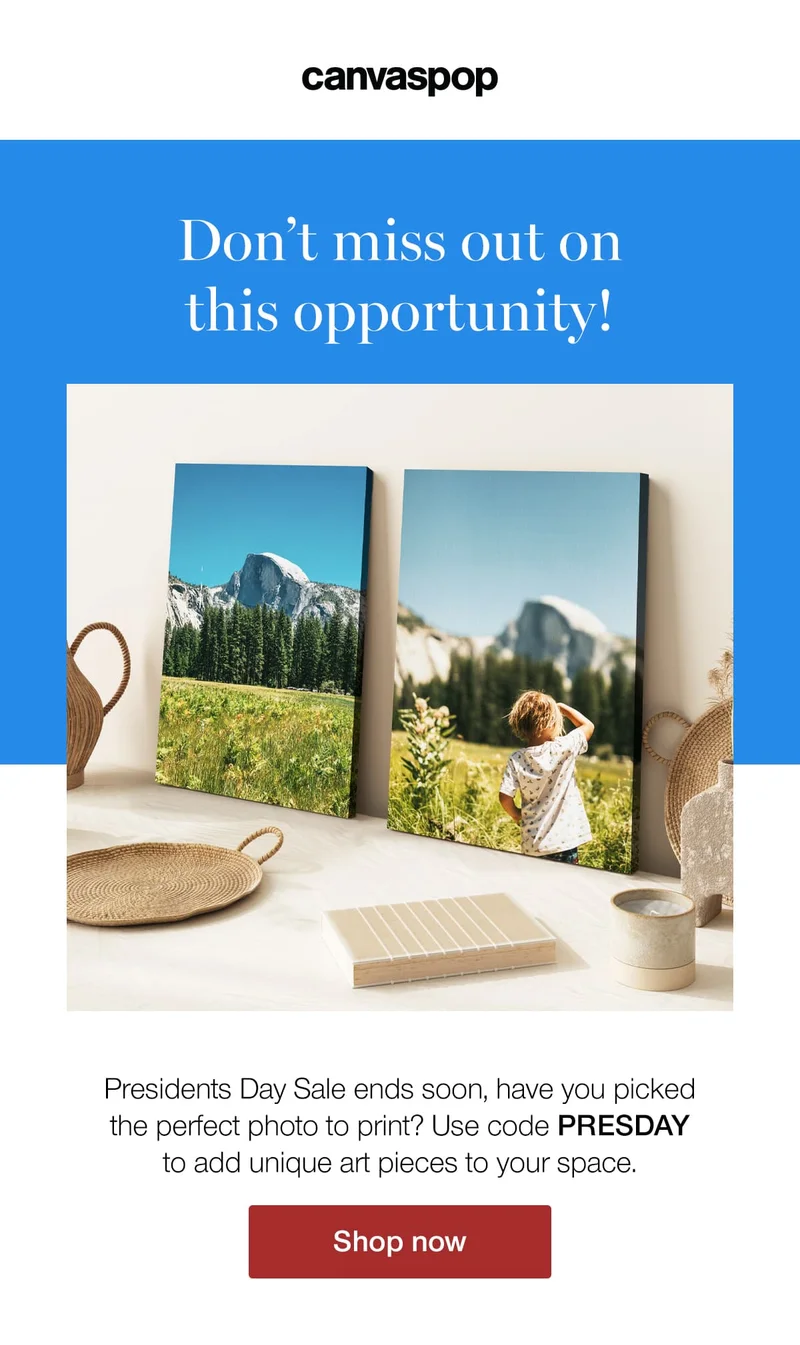 Don't miss out on this opportunity! Presidents Day Sale ends soon, have you picked the perfect photo to print? Use code discount code to add unique art pieces to your space.