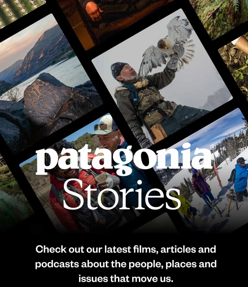 Patagonia Stories. Check out our latest films, articles and podcasts about the people, places and issues that move us.