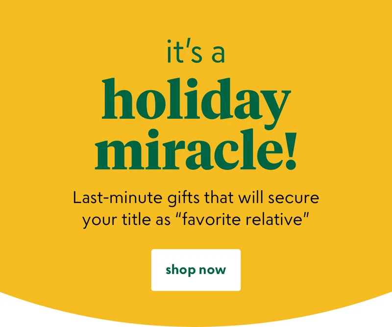 shop now