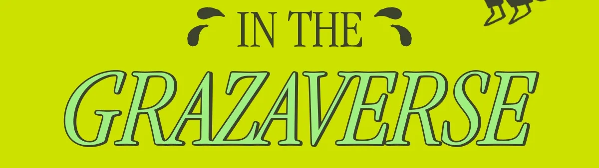 IN THE GRAZAVERSE