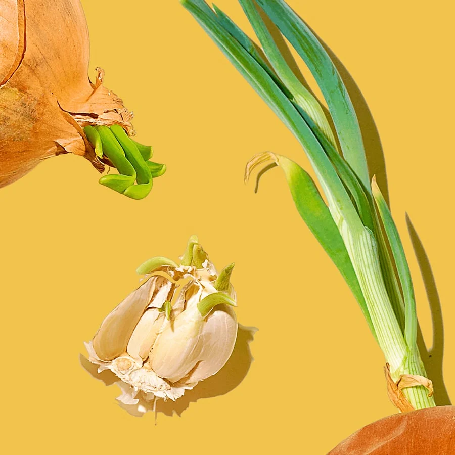 Sprouted Produce