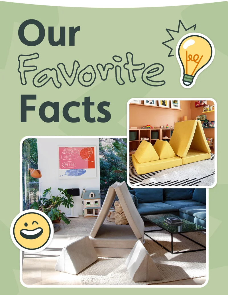 Our Favorite Facts