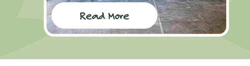 Read More