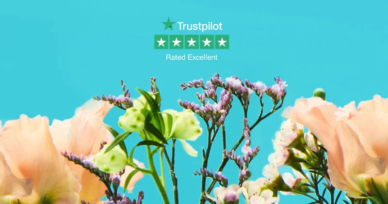 Floral Case