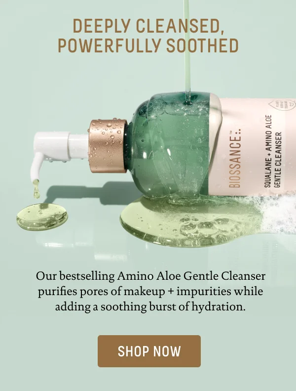 Amino Aloe Gentle Cleanser