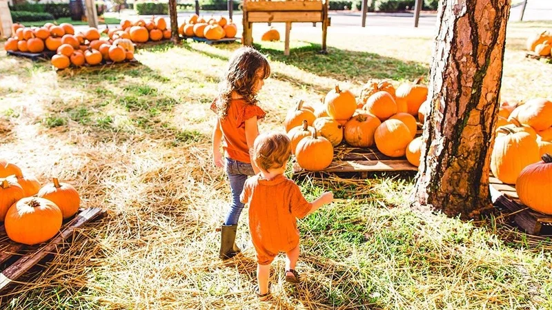 Image description: Two kids at a pumpkin patch.