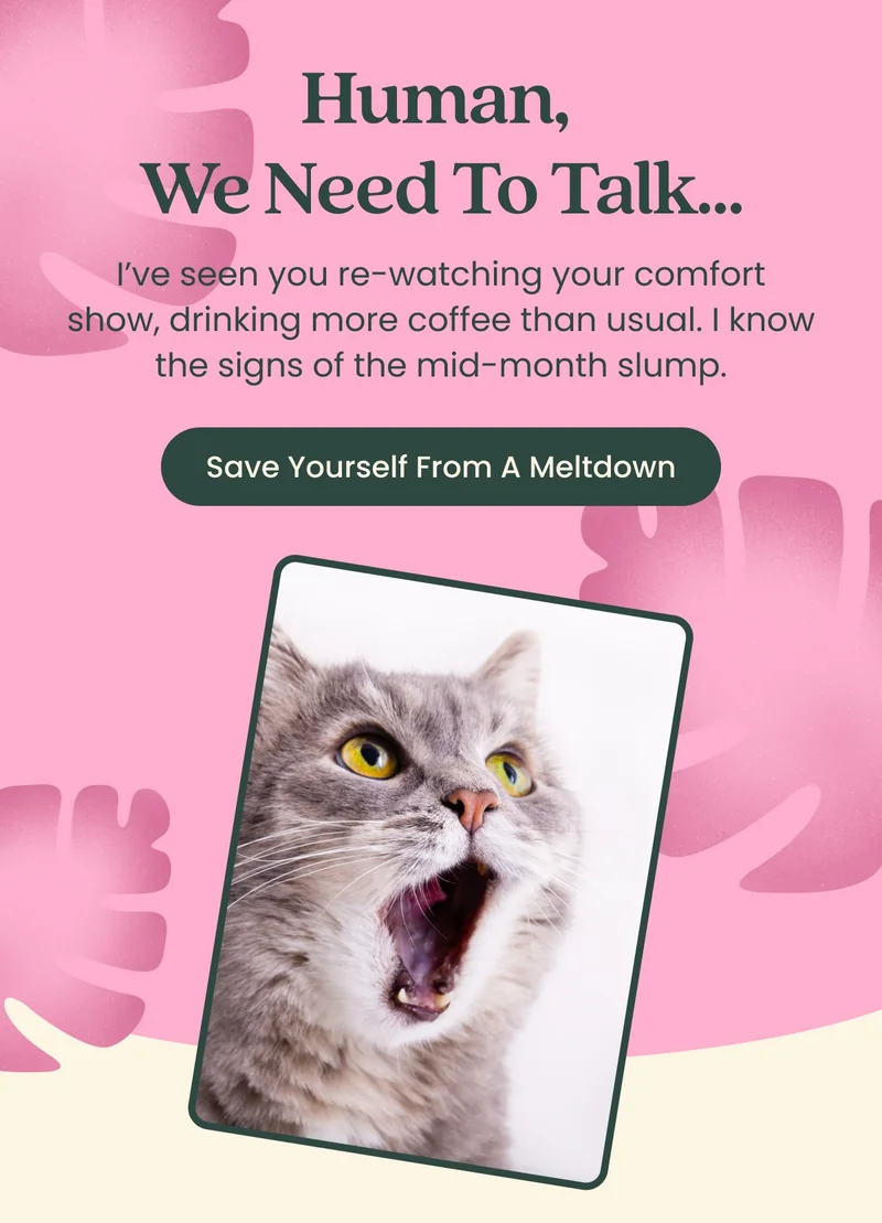 Save Yourself From A Meltdown