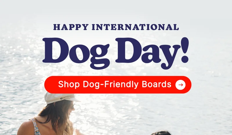 Happy International Dog Day!