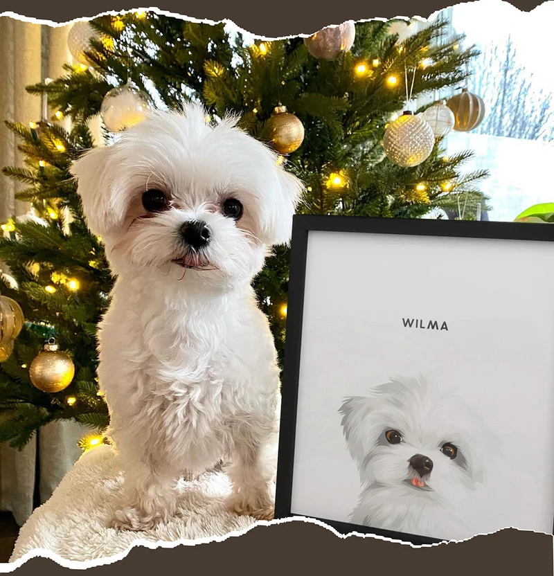 White dog sitting next to their Modern Pet Portrait in front of the Christmas tree