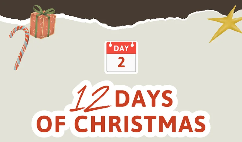 DAY 2: 12 Days of Christmas Event