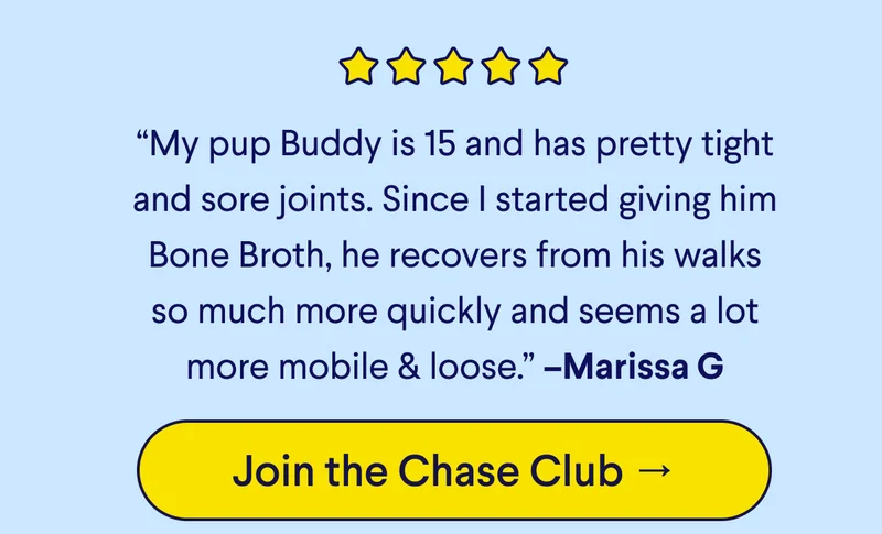 5 Star Customer Review: “My pup Buddy is 15 and has pretty tight and sore joints. Since I started giving him Bone Broth, he recovers from his walks so much more quickly and seems a lot more mobile & loose.” –Marissa G CTA: Join The Chase Club –>
